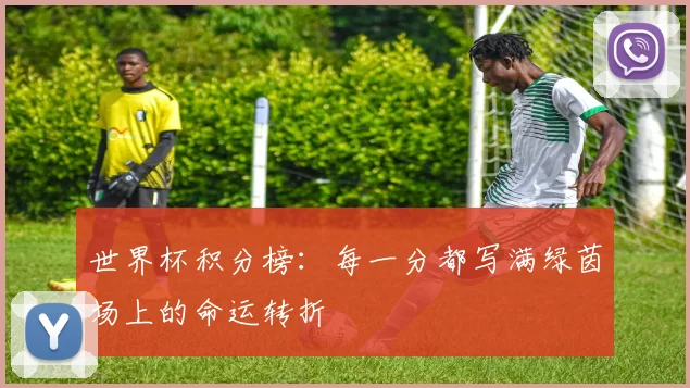 世界杯积分榜:每一分都写满绿茵场上的命运转折