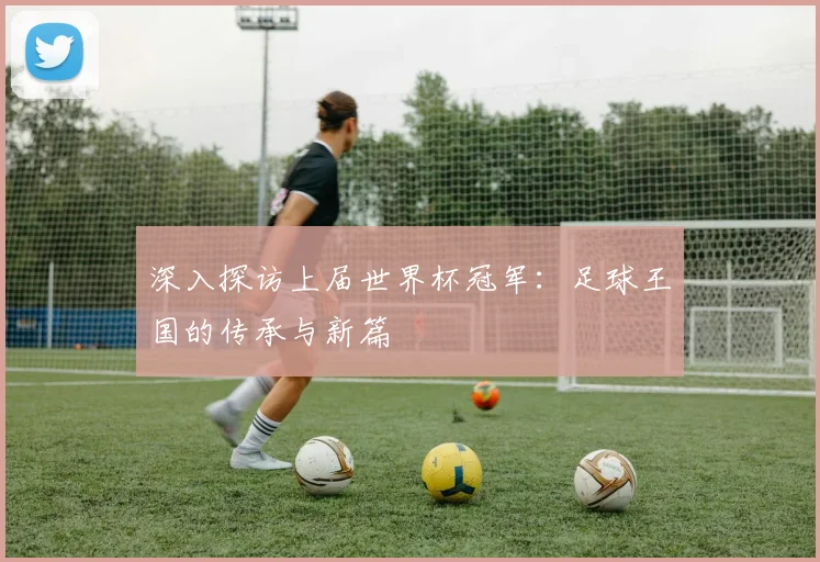 深入探访上届世界杯冠军：足球王国的传承与新篇