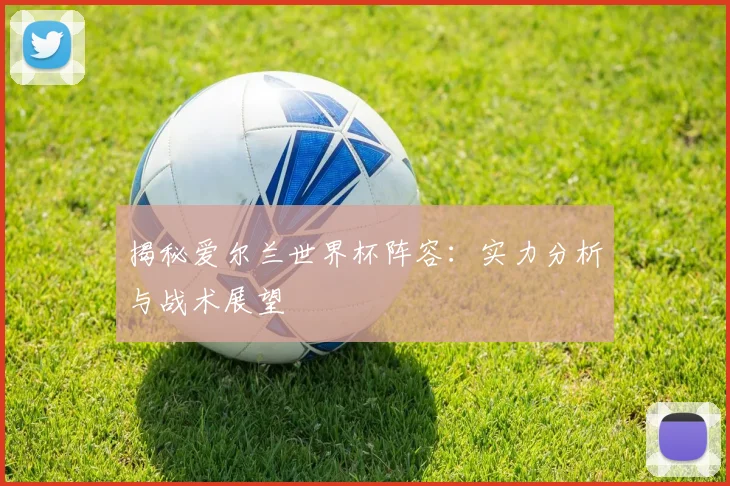 揭秘爱尔兰世界杯阵容：实力分析与战术展望