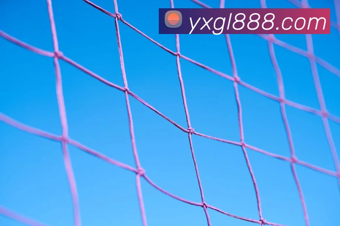 ueb体育在线登录入口发展历程